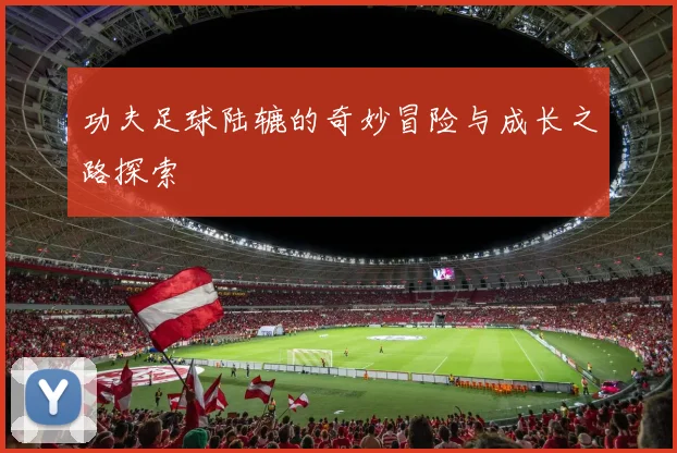 功夫足球陆辘的奇妙冒险与成长之路探索