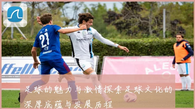 足球的魅力与激情探索足球文化的深厚底蕴与发展历程