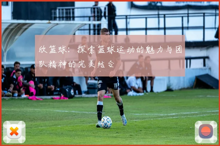 欣篮球：探索篮球运动的魅力与团队精神的完美结合