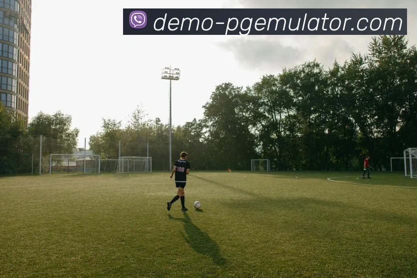 PG模拟器品牌故事